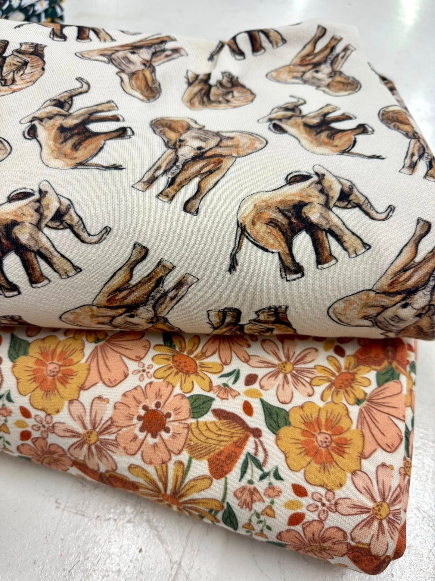 Sue Thomson Creative