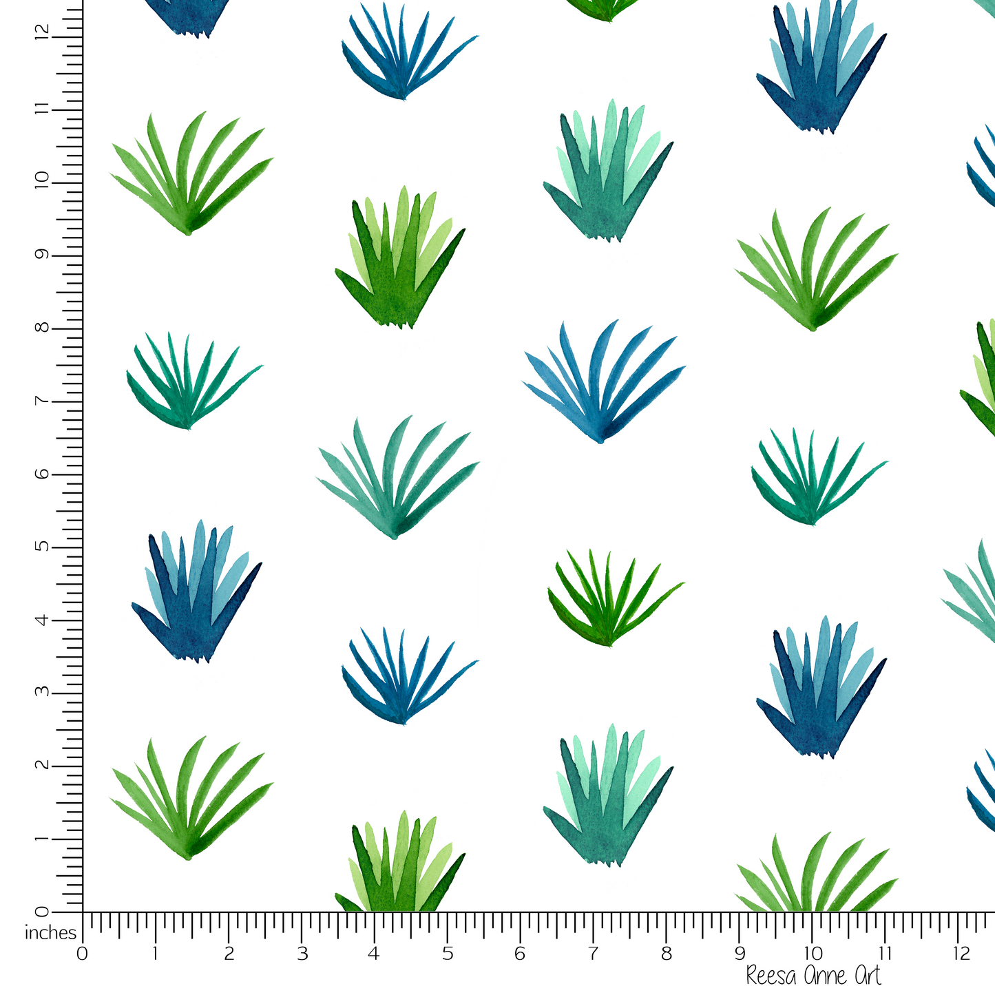 Agave
