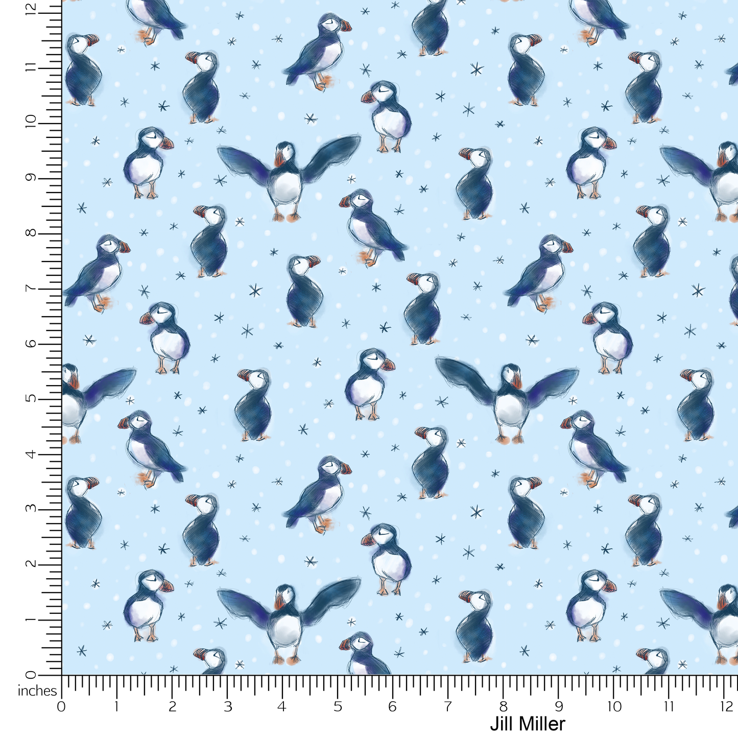 Arctic Puffins Penguins