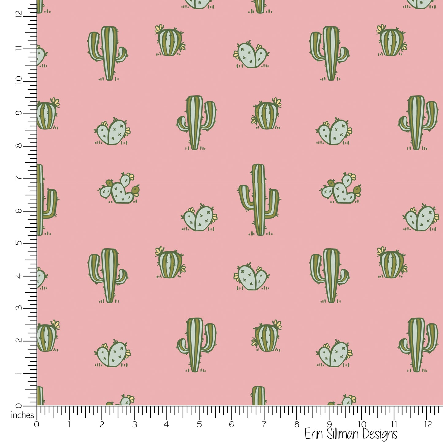 Cactus Cuddles