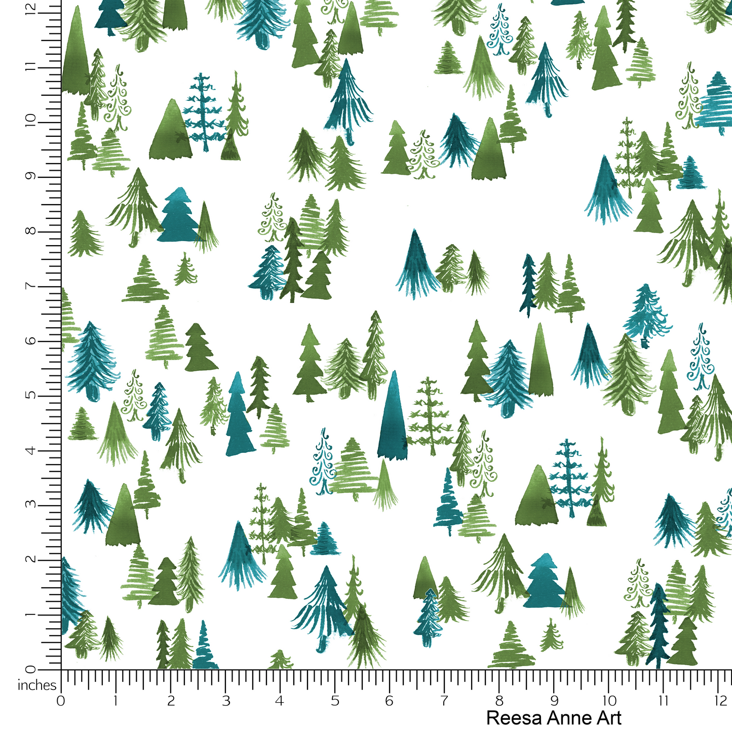 Evergreen Forest