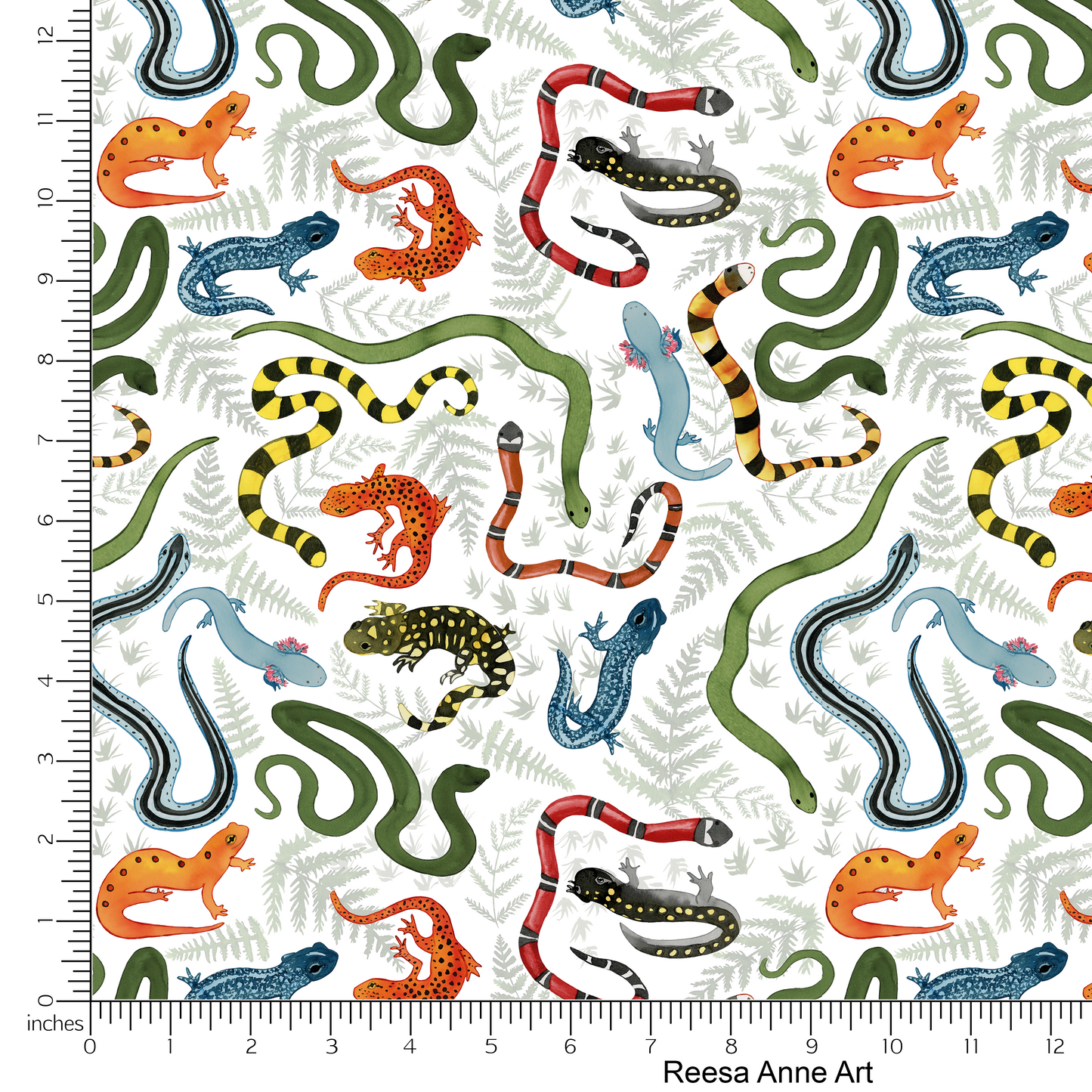 Snakes & Salamanders