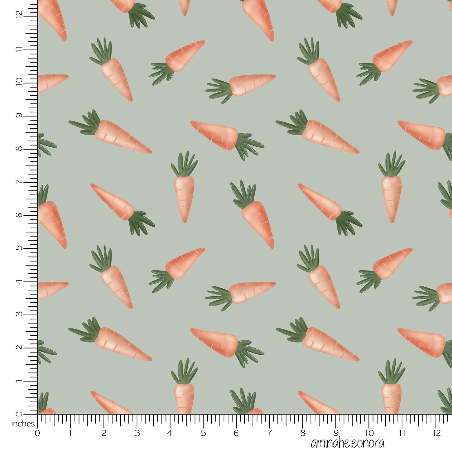Spring Carrots