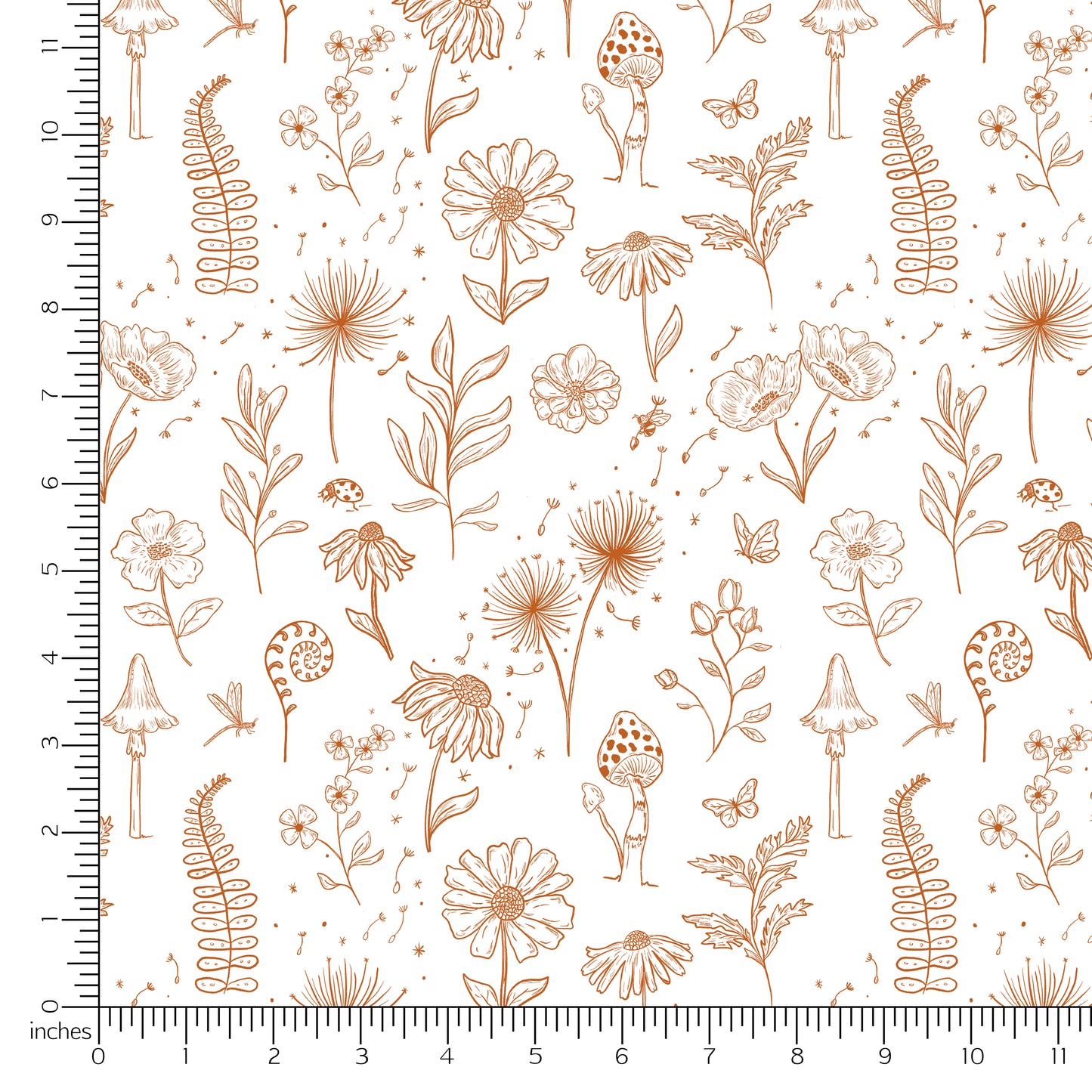 Painted Hawk Designs